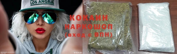 СК Сосновый Бор