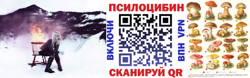 blacksprut зеркало  Кулебаки  Псилоцибиновые грибы ЛСД 